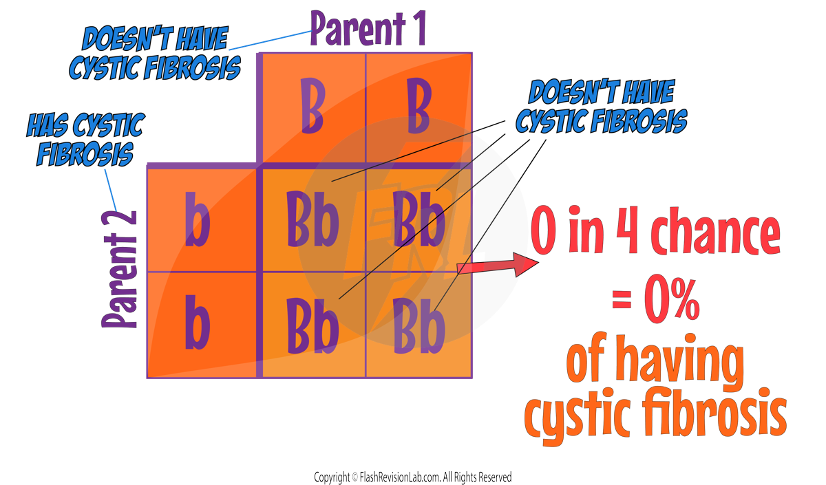 Cystic Fibrosis